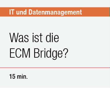Was ist die ECM Bridge?