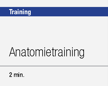 Anatomietraining Wirbelsäule